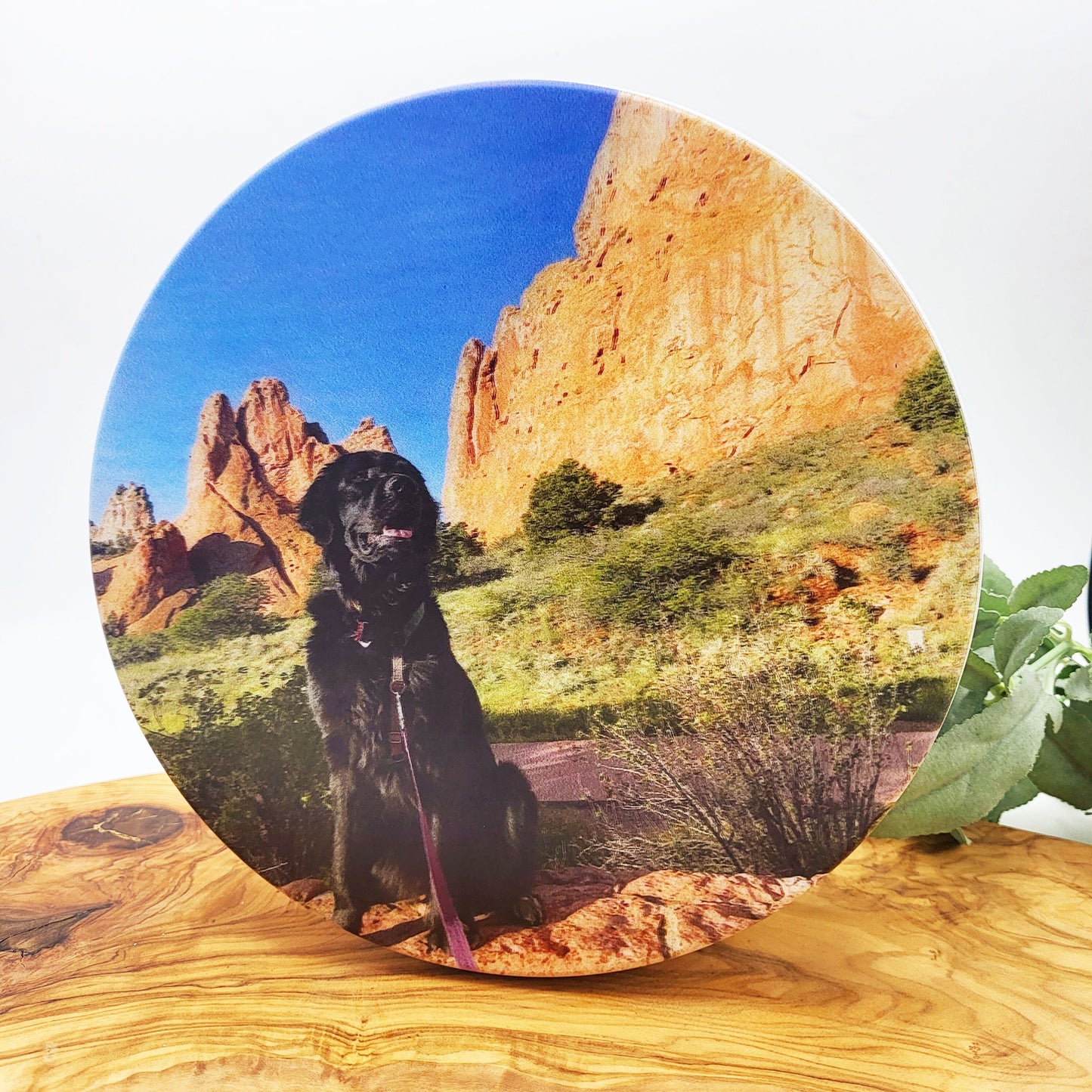 Photo Cookie Tin Personalized Keepsake Tin