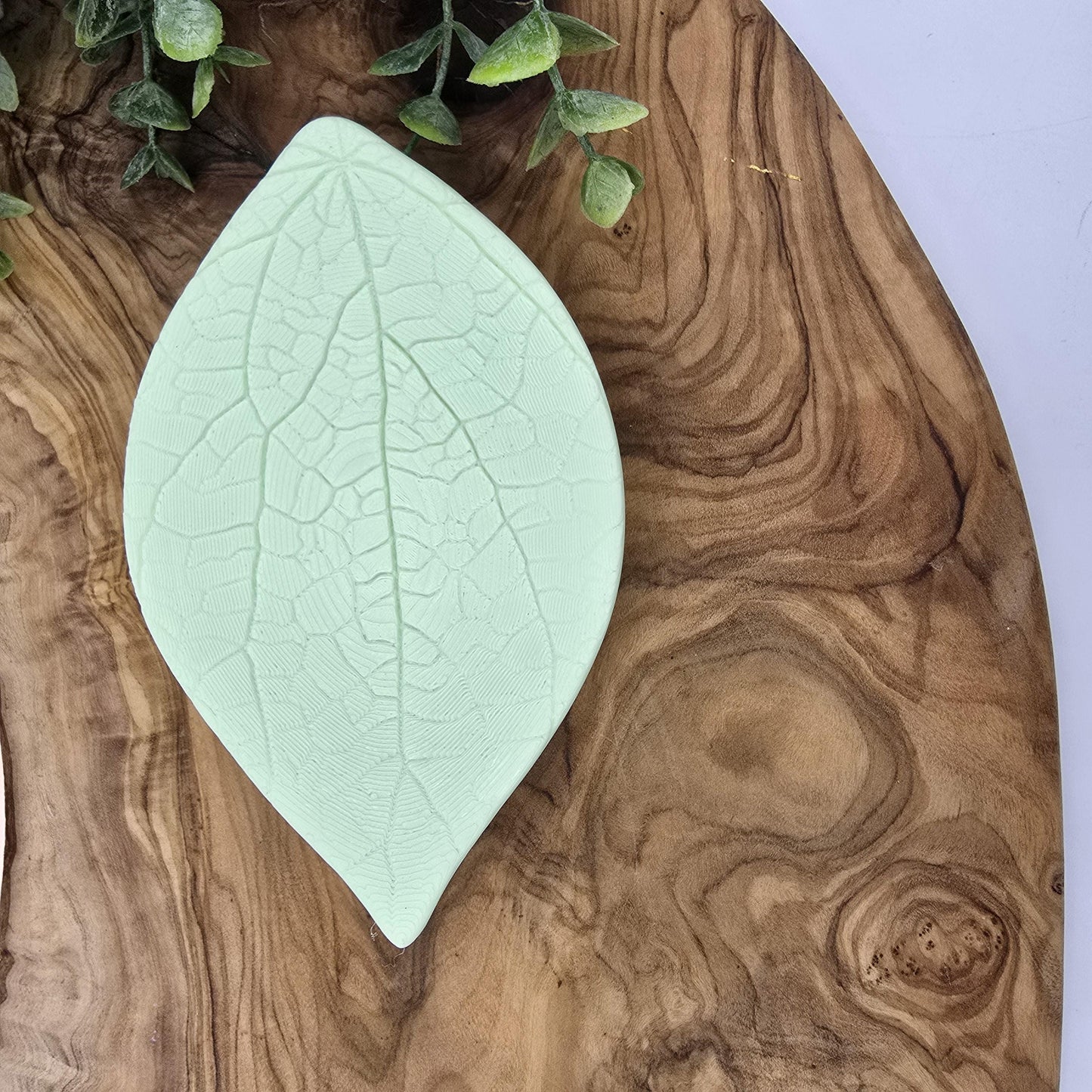 Leaf Soap Dish, Eco-Friendly